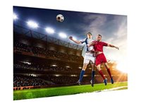 Da-Lite FullVision - Projektorduk - väggmontering - 113" (287 cm) - 16:9 - Matte White 10600787