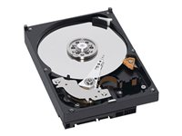 Dell - Hårddisk - 250 GB - inbyggd - 3.5" - SATA 3Gb/s - 7200 rpm - för Alienware Aurora R3; OptiPlex 3010, 390, 7010, 780, 9010, 990; Precision T7600; Vostro 260 400-24192