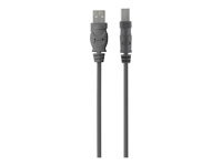 Belkin - USB-kabel - USB (hane) till USB typ B (hane) - USB 2.0 - 4.8 m - träkol F3U154CP4.8M