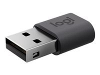 Logitech - USB-adapter - USB (hane) till 24 pin USB-C (hona) - USB 2.0 - 5 V - 0.5 A 956-000169