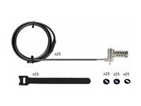 StarTech.com 25-Pack Laptop Lock, Compatible w/Noble Wedge/Nano/K-Slot - Lås för säkerhetskabel - silver, svart - 2 m - TAA-kompatibel (paket om 25) UNIVCS25-LAPTOP-LOCK