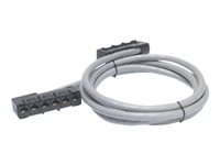 APC Data Distribution Cable - Nätverkskabel - RJ-45 (hona) till RJ-45 (hona) - 12.5 m - UTP - CAT 5e - grå DDCC5E-041