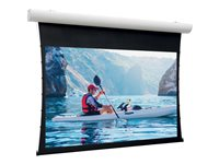 Da-Lite Tensioned Elpro Concept - Projektorduk - väggmontering, takmontering - motoriserad - 230 V - 149" (379 cm) - 16:9 - HD Progressive 1.1 Contrast - RAL 9016 10101029
