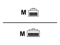 Cisco PrecisionHD Camera Daisy-Chain Cable For Visca Control - Stackningskabel - RJ-12 (hane) till RJ-45 (hane) - 6.5 m - svart CAB-VCDC-6.5M=