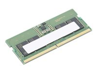 Lenovo - DDR5 - modul - 8 GB - SO DIMM 262-pin - 5600 MHz - grön - för Legion T5 26; ThinkCentre M70q Gen 5; M90q Gen 5; ThinkPad P14s Gen 5; V15 G5 IRL 4X71M23184