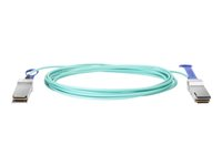 HPE Active Optical Cable - 100GBase direktkopplingskabel - QSFP28 till QSFP28 - 5 m - fiberoptisk - aktiv - för HPE SN2410, SN3700, SN3700cM 100, SN3800M 100, SN4600, SN4600cM 100; M-Series SN3800 Q9S71A