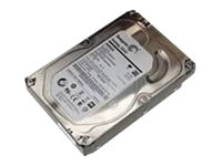 Lenovo - Hårddisk - 2 TB - inbyggd - 3.5" - SATA 6Gb/s - 7200 rpm - buffert: 64 MB - för ThinkCentre M70s Gen 2; M75t Gen 2; M90s Gen 2; M90t Gen 2; ThinkStation P3; P34X; P350 4XB0F18667