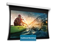Da-Lite Tensioned DescenderPro - Projektorduk - takmontering - motoriserad - 230 V - 125.59" (319 cm) - 16:10 - HD Progressive 1.1 - RAL 9016 10106709