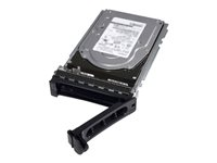 Dell - Kundsats - hårddisk - 1 TB - hot-swap - 2.5" - SATA 6Gb/s - 7200 rpm - för PowerEdge C6420 (2.5") 400-ATJG