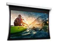 Da-Lite Tensioned DescenderPro - Projektionsskärmyta med motor och vals - takmonterbar - 125" (318 cm) - 16:9 - HD Progressive 1.3 10106654