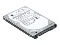 Lenovo ThinkPad - Hårddisk - 500 GB - inbyggd - 2.5" - SATA 6Gb/s - 7200 rpm - för ThinkCentre M70q Gen 2; M90; M90q Gen 2; M90s Gen 2; M90t Gen 2; ThinkEdge SE50 4XB0K48494