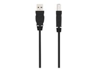 Belkin 6ft USB A/B Device Cable - USB-kabel - USB (hane) till USB typ B (hane) - USB 2.0 - 1.8 m - formpressad F3U133B06