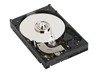 Dell - Hårddisk - 1 TB - inbyggd - SATA 6Gb/s - 7200 rpm - för Alienware Area-51; Studio XPS 8100, XPS 9100 400-24995