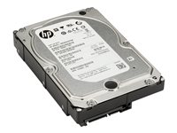 HP - Hårddisk - 4 TB - inbyggd - 3.5" - SATA 6Gb/s - 7200 rpm - buffert: 128 MB - för Workstation Z2 G4, Z2 G5, Z2 G8, Z2 G9, Z4 G4, Z4 G5, Z6 G4, Z8 G4, Z8 G5; ZCentral 4R K4T76AA