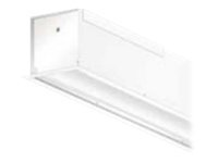 Projecta Tensioned Descender Large Electrol Screen case - Projection screen housing 10800129