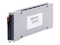 QLogic Virtual Fabric Extension Module for IBM BladeCenter - Expansionsmodul - 2Gb Fibre Channel, 4Gb Fibre Channel, 8 Gb fiberkanal - för BladeCenter H 7989, H 8852 46M6172