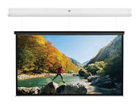 Da-Lite DescenderPro - Projektorduk - takmontering - motoriserad - 230 V - 123" (313 cm) - 4:3 - Matte White - RAL 9016 10101739