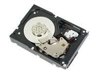 Dell - Hårddisk - 1 TB - inbyggd - 3.5" - SATA 6Gb/s - 7200 rpm - för PowerEdge T130 (3.5"), T30 (3.5"), T330 (3.5"), T430 (3.5") 400-AUPW