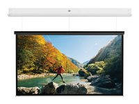Da-Lite DescenderPro - Projektorduk - takmontering - motoriserad - 135" (342 cm) - 16:10 - Matte White - vit pulverbeläggning 10104801
