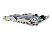 HPE FIP-210 - Expansionsmodul - Gigabit Ethernet x 2 - för HPE 6604, 6608, 6616 JC167B