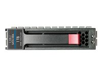 HP Midline - Hårddisk - 1 TB - 3.5" - SATA 3Gb/s - 7200 rpm - Top Value 454146-TV1