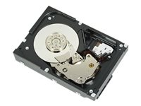 Dell - Kundsats - hårddisk - 12 TB - 3.5" - SATA 6Gb/s - 7200 rpm 161-BBGK