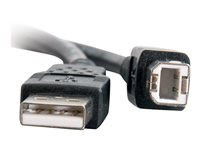 C2G - USB-kabel - USB (hane) till USB typ B (hane) - USB 2.0 - 2 m - svart 81566