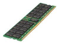 HPE SmartMemory - DDR5 - modul - 16 GB - DIMM 288-pin - 4800 MHz / PC5-38400 - CL40 - 1.1 V - registrerad - ECC - för ProLiant DL325 Gen11, DL345 Gen11, DL385 Gen11 P50309-B21