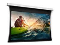 Da-Lite Tensioned DescenderPro - Projektorduk - takmontering - motoriserad - 230 V - 149.21" (379 cm) - 16:9 - HD Progressive 1.1 - RAL 9016, matt vit 10106646