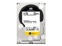 WD RE WD4000FYYZ - Hårddisk - 4 TB - inbyggd - 3.5" - SATA 6Gb/s - 7200 rpm - buffert: 64 MB - för My Cloud EX4 WD4000FYYZ