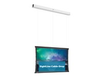 Da-Lite Tensioned DescenderPro - Projektorduk - takmontering - motoriserad - 230 V - 125.59" (319 cm) - 16:10 - HD Progressive 1.3 - RAL 9016, matt vit 10105707