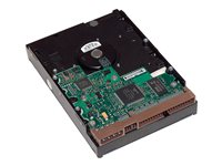 HP - Hårddisk - 250 GB - inbyggd - 3.5" - SATA 6Gb/s - 7200 rpm - buffert: 8 MB - för Workstation z210, Z220, Z420, Z620, Z820 LQ034AA