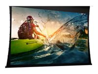 Da-Lite Tensioned DescenderPro - Projektorduk - takmontering - motoriserad - 230 V - 116" (295 cm) - 16:10 - Matte White (Tensioned) 10106675