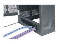 Middle Atlantic BGR Series BGR-RDC25 - Rackdörr - bak - svart - 25U BGR-RDC25