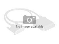 HPE - Extern SAS-kabel - 26-pin 4x skärmad Mini MultiLane SAS (SFF-8088) till 32-pin 4i MultiLane - 89 cm - för Smart Array P212/256MB, P212/Zero, P410/256MB, P410/512MB, P410/ZM, P411/256MB, P411/512MB 496016-B21