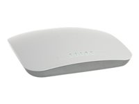 NETGEAR Dual Band Premium Wireless-N Access Point WNDAP620 - Trådlös åtkomstpunkt - Wi-Fi - 2.4 GHz, 5 GHz WNDAP620-100PES